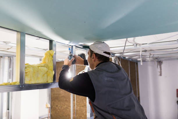 Best Insulation Removal  in Centrevle, IL