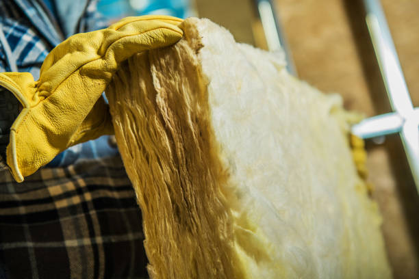 Best Insulation for New Construction  in Centrevle, IL